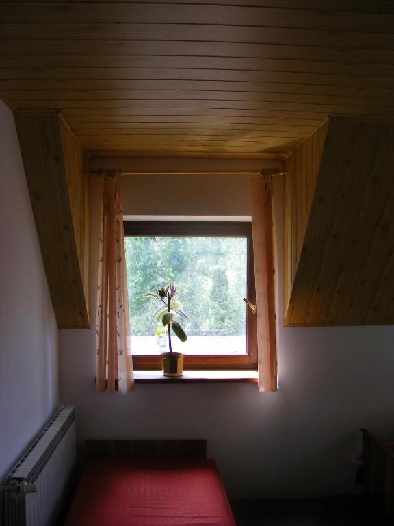 Sosnowy Dworek Apartment Jozefow  Exterior photo